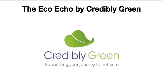 Read more about the article The Eco Echo by Credibly Green